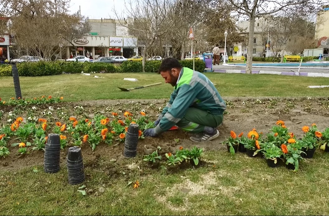 کاشت۸۰۰ هزار انواع گل های فصلی در فضای سبز شهر بجنورد آغاز شد,